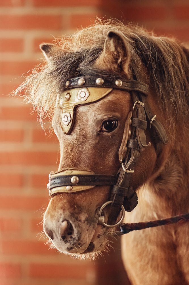 Photograph by Ольга Щерба