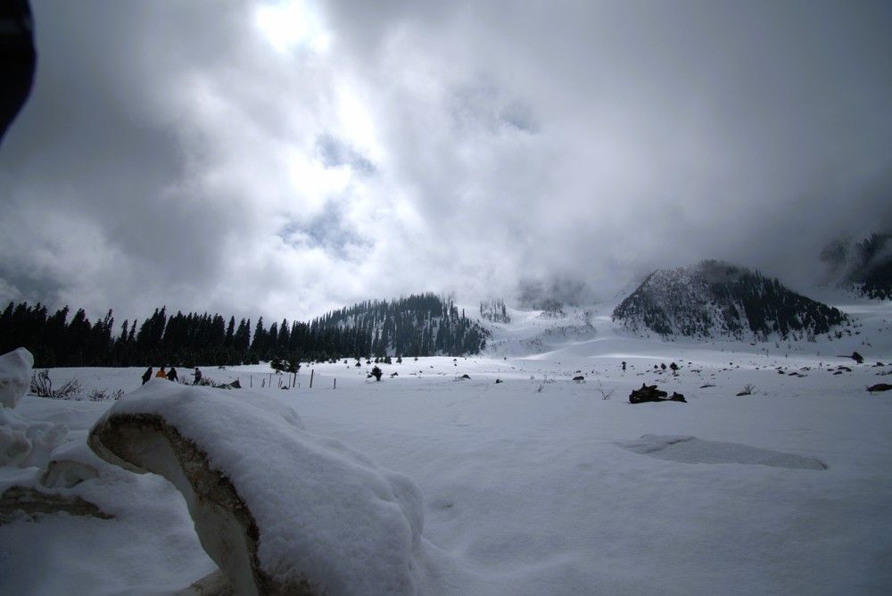 Photograph by Preet saluja