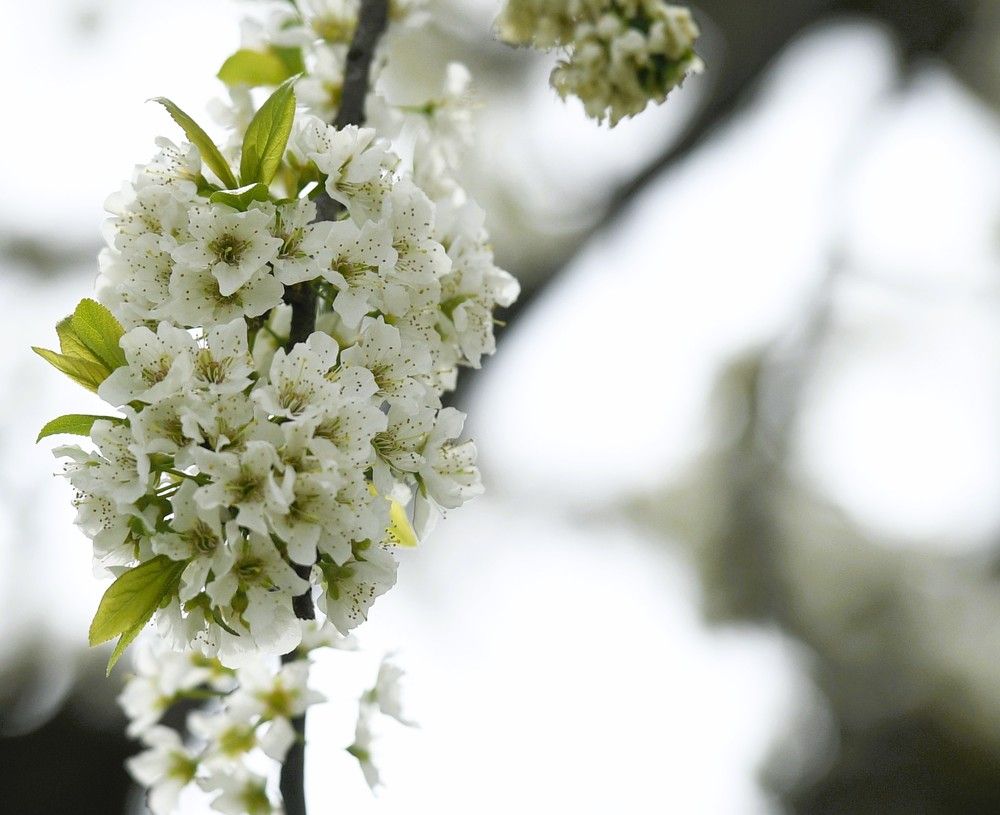 Photograph by Preet saluja