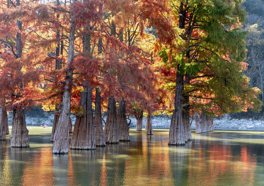 Photograph by Сергей Христинич