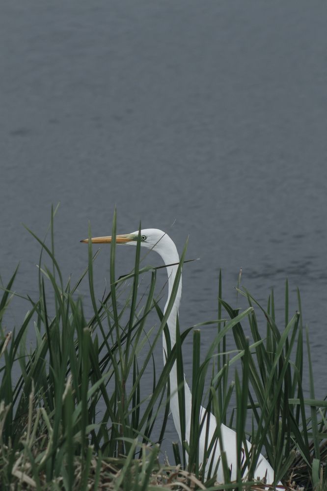 Photograph by Anna Dubinina