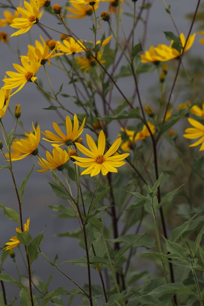 Photograph by Anna Dubinina