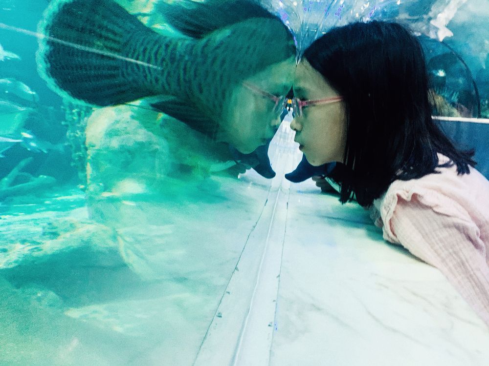 Photograph by ByC.vn