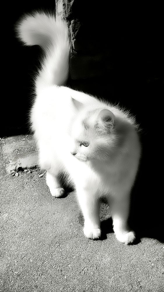 Photograph by Андрей Евтеев