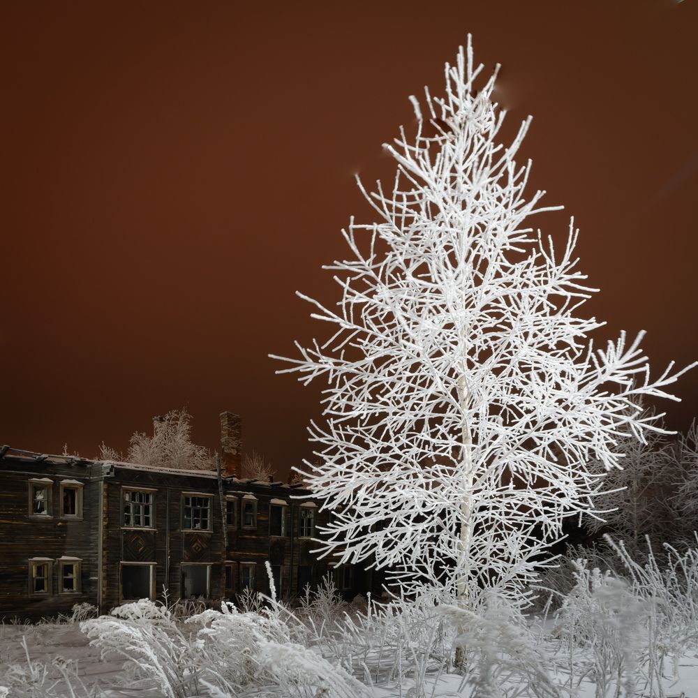 Photograph by Олег Бережных