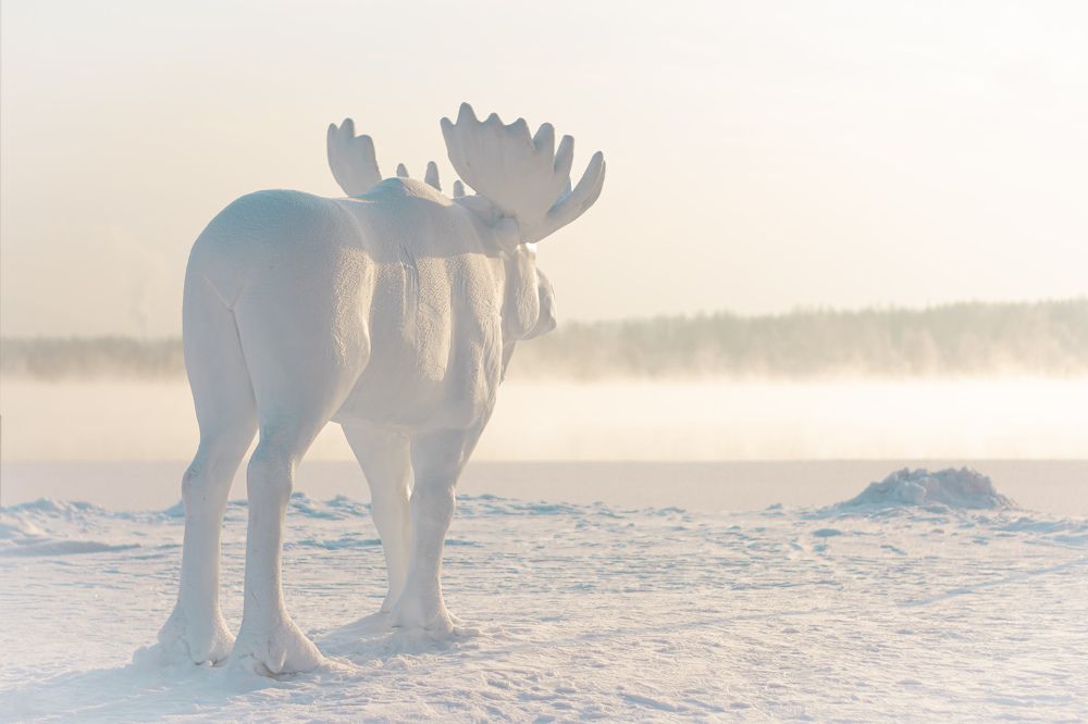 Photograph by Олег Бережных