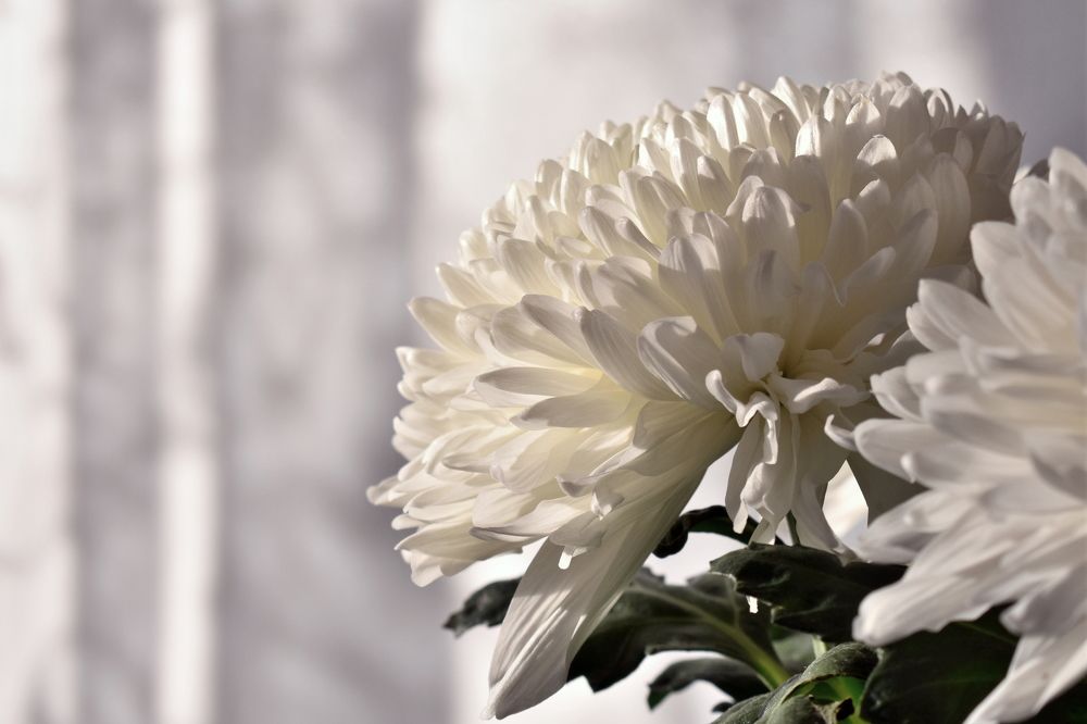 Photograph by Олег Бережных