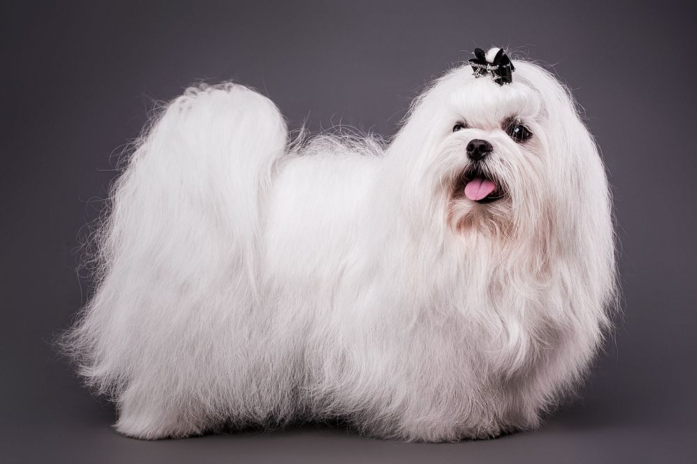 Photograph by Дёгтев Евгений