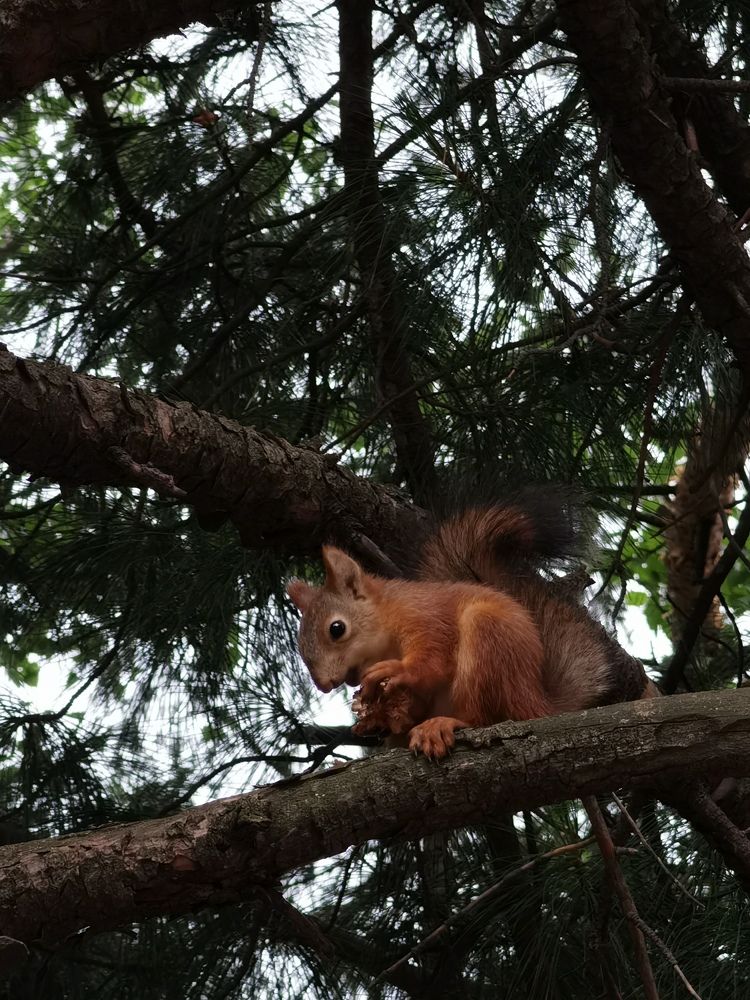 Photograph by Наталья Круглова