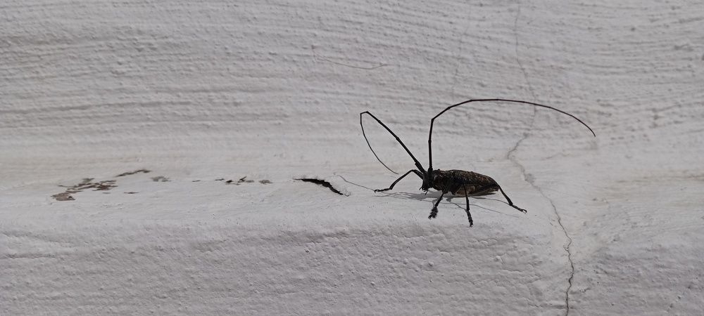 Photograph by Анастасия Кичигина