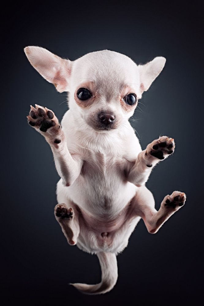 Photograph by Дёгтев Евгений