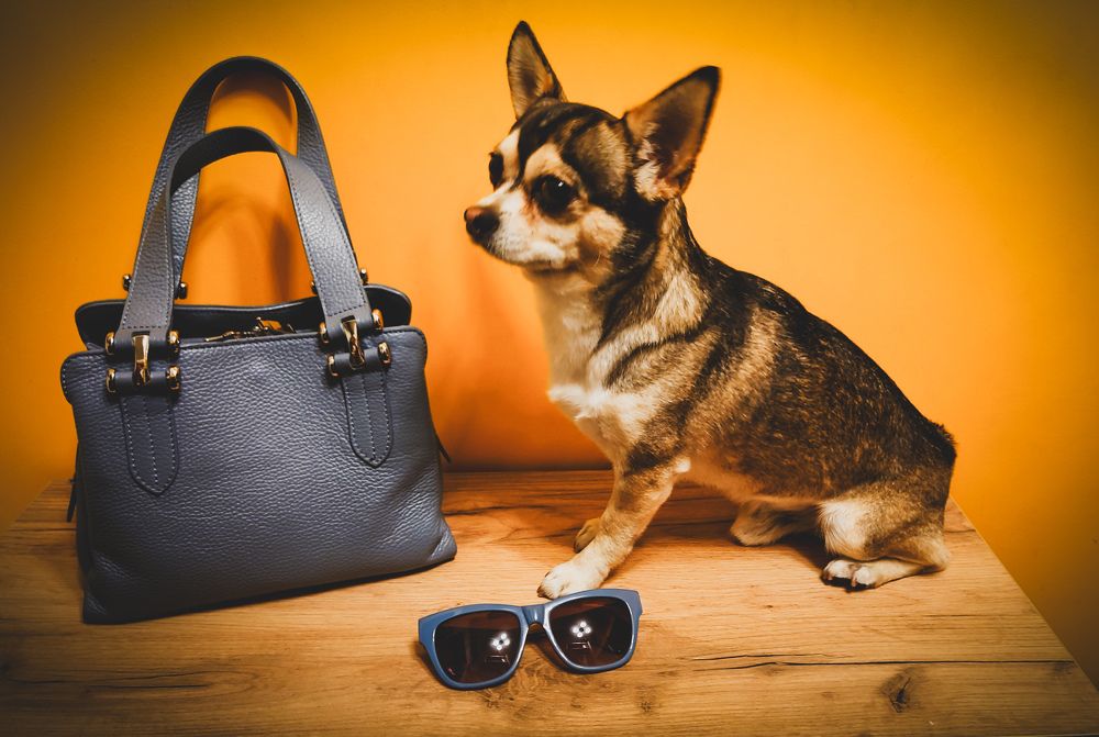 Фотография автора Elena Ku