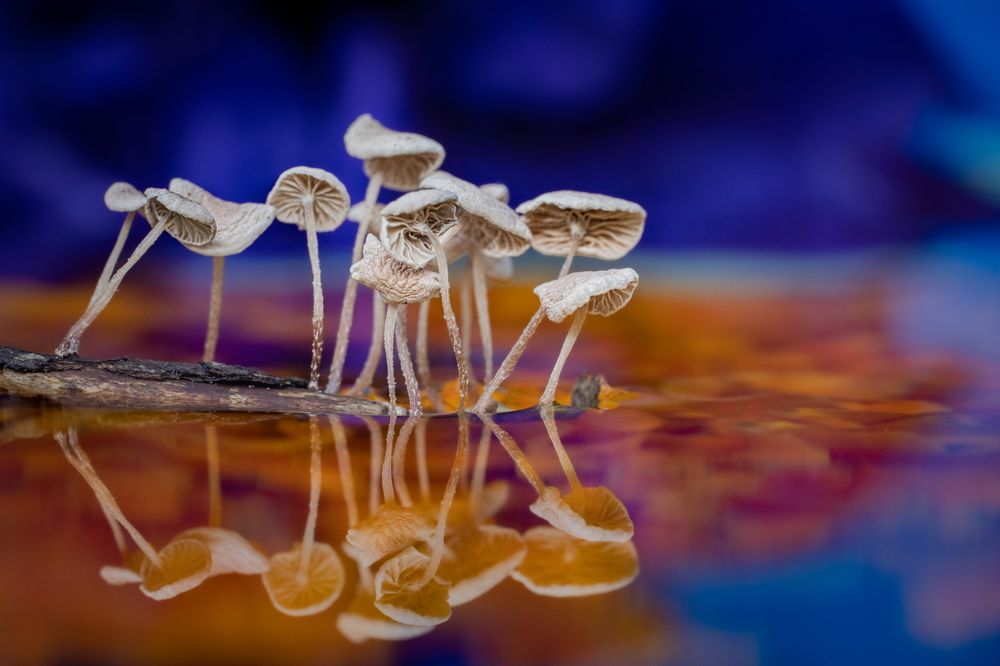 Photograph by Николай Фонарёв