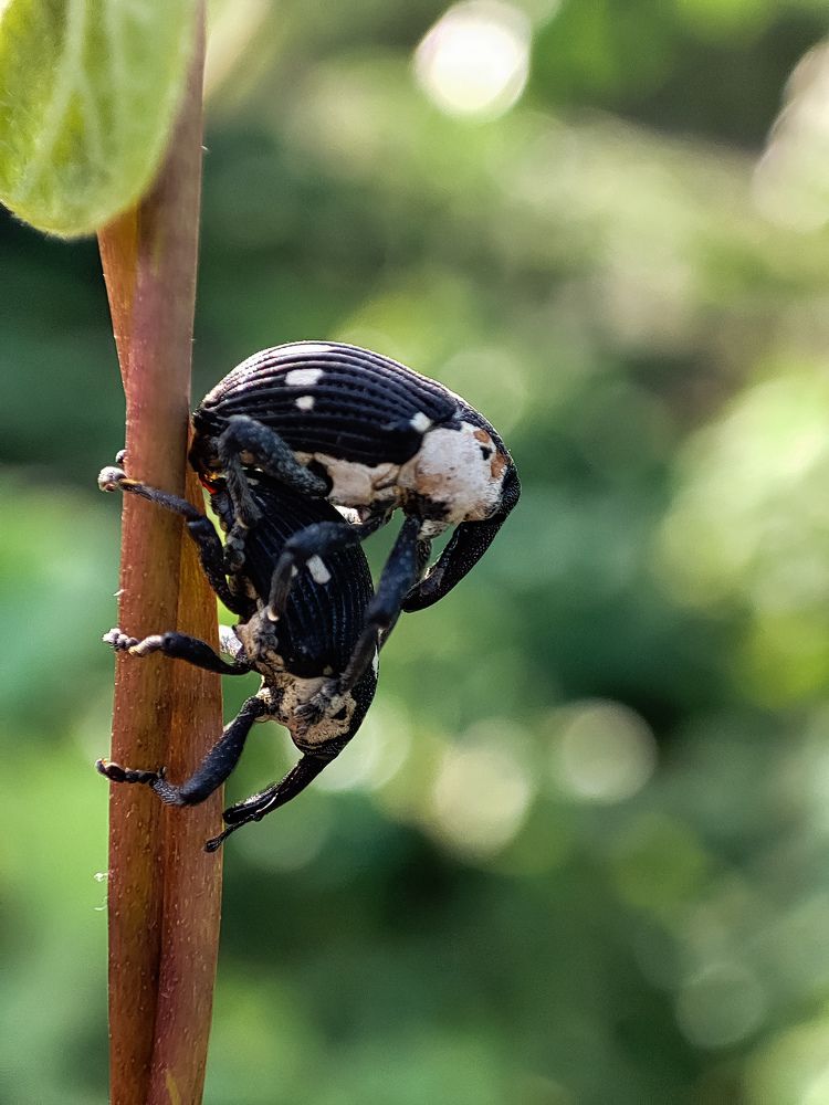 Photograph by Sulagna Mazumdar