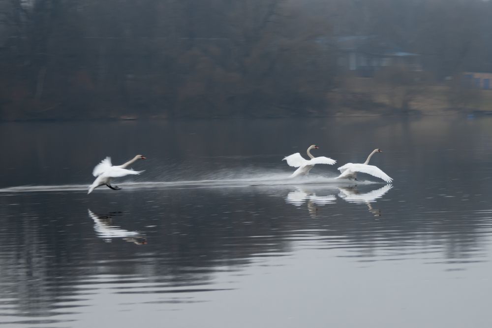 Photograph by Виктория Косинская