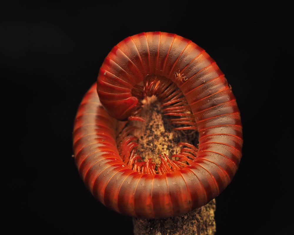 Photograph by Dharmendra Padhiyar