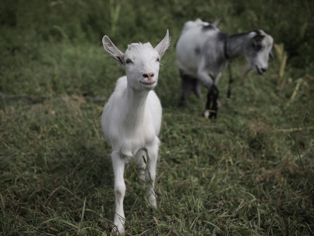 Фотография автора Ирина Мосько