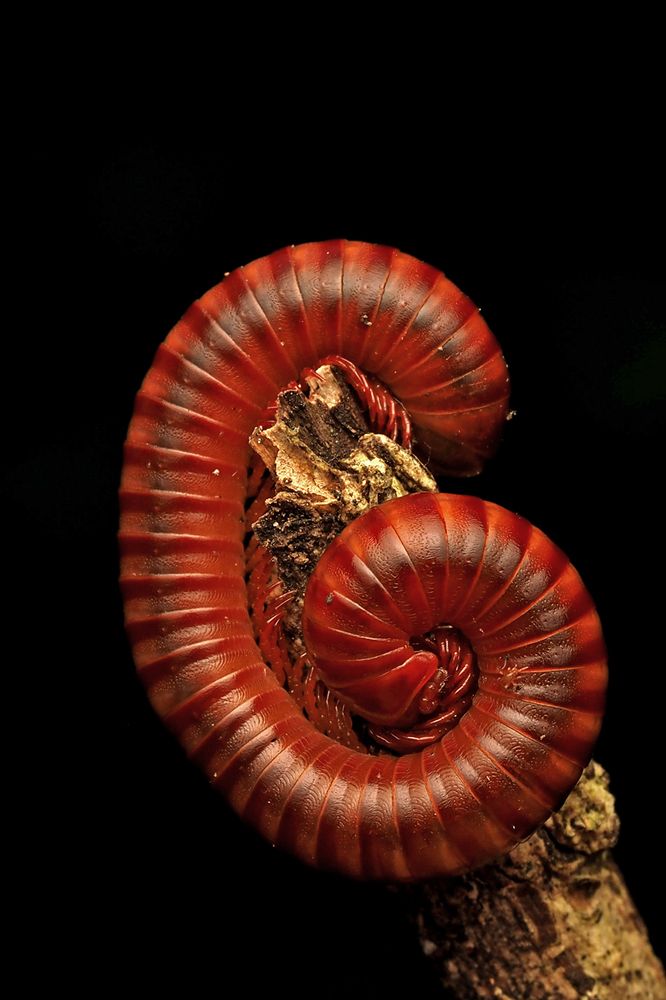 Photograph by Dharmendra Padhiyar