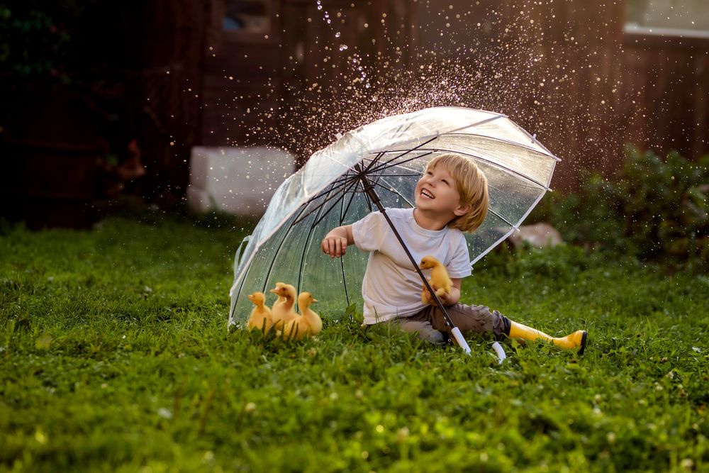 Photograph by Ирина Юрлова