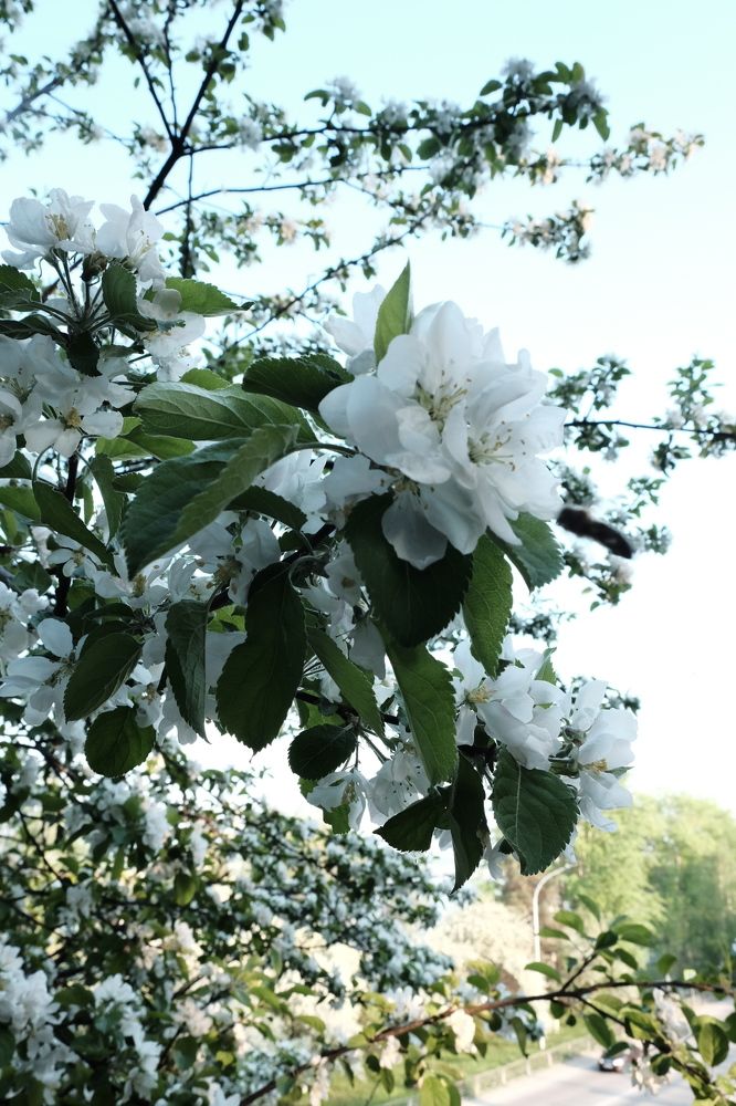 Photograph by Екатерина Хозяшева