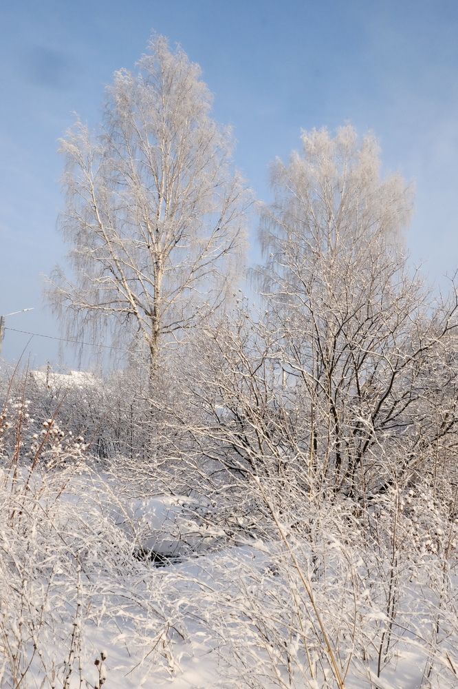 Photograph by Екатерина Хозяшева