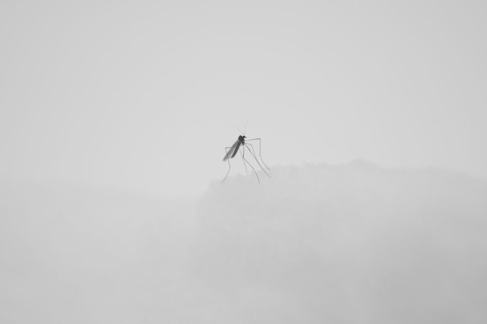 Photograph by Владимир