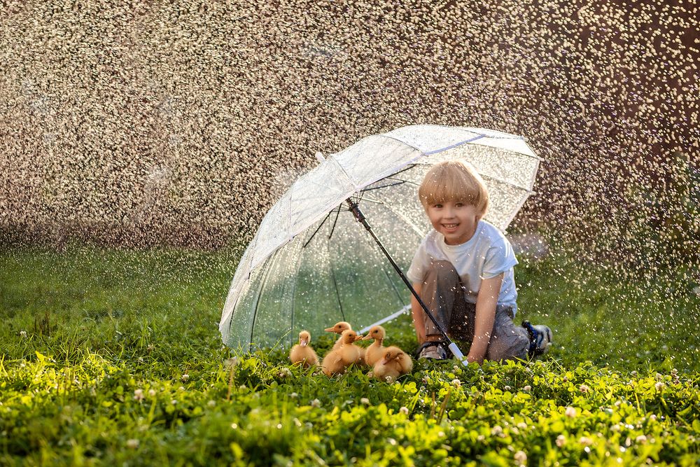 Photograph by Ирина Юрлова