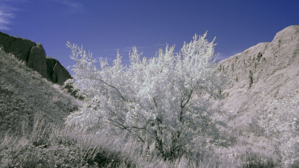 Photograph by Владимир