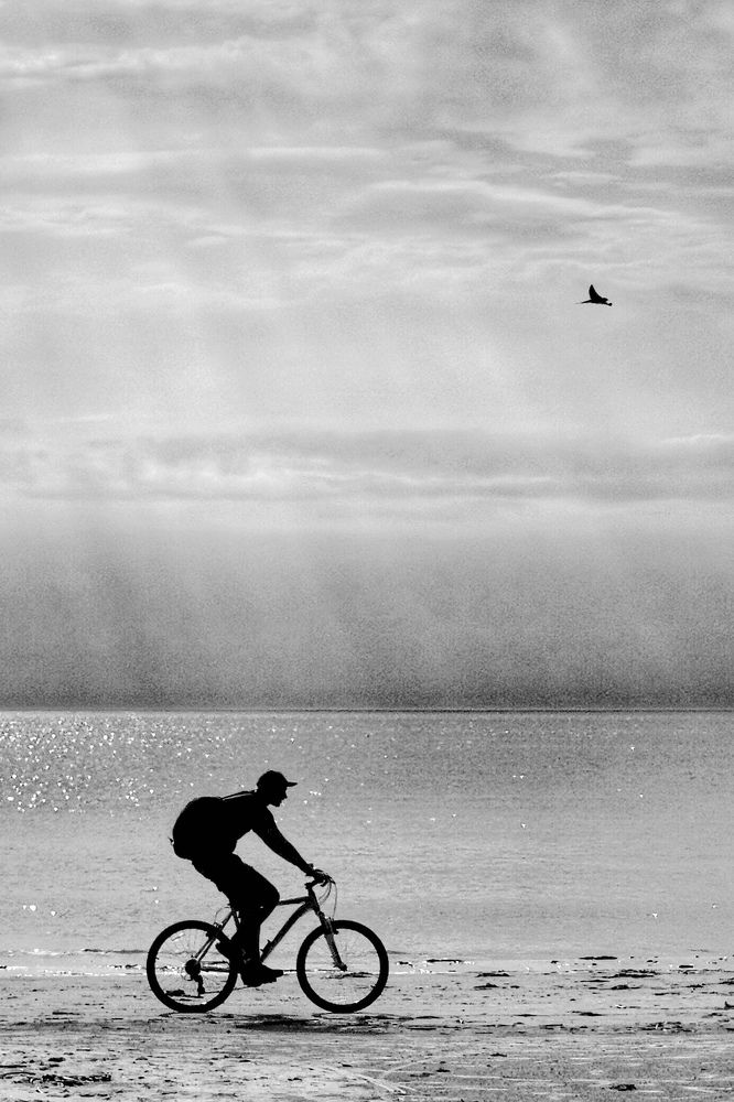 Photograph by Aljona Dyachenko