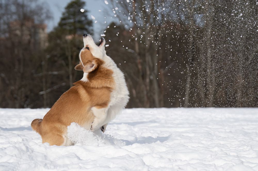 Photograph by Марина Виноградова