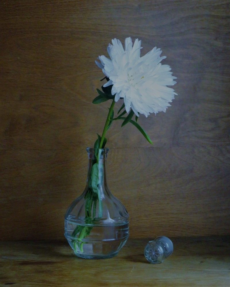 Photograph by Людмила Кононова