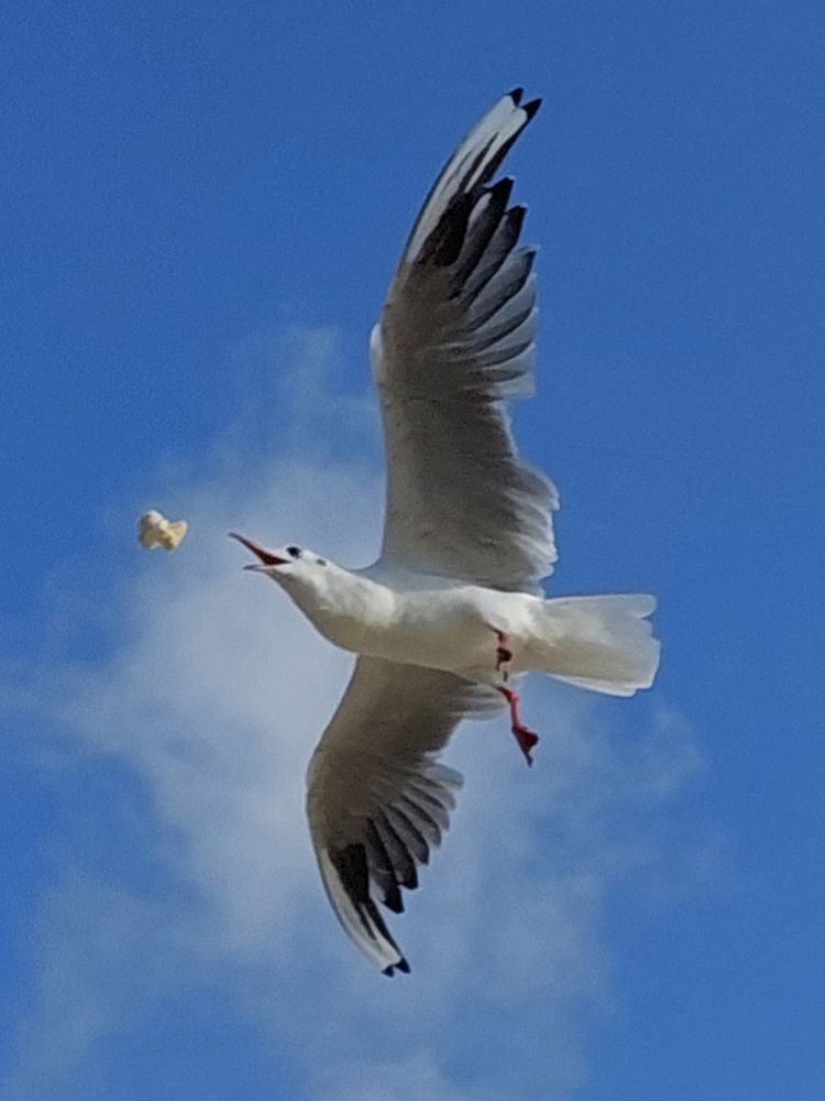 Photograph by Елена Тимченко