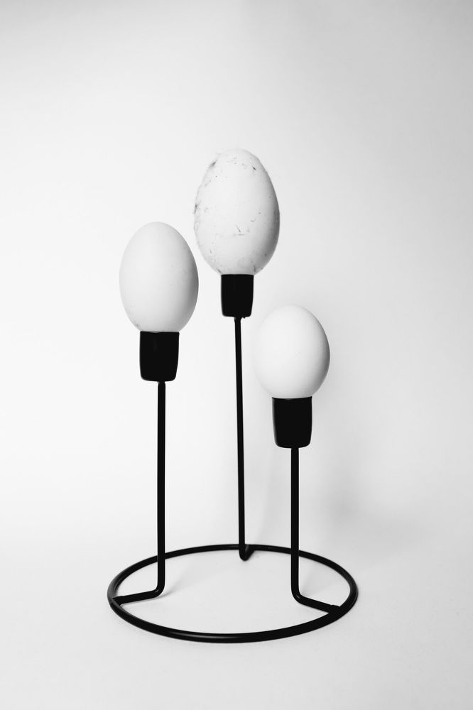 Photograph by Елена Тимченко