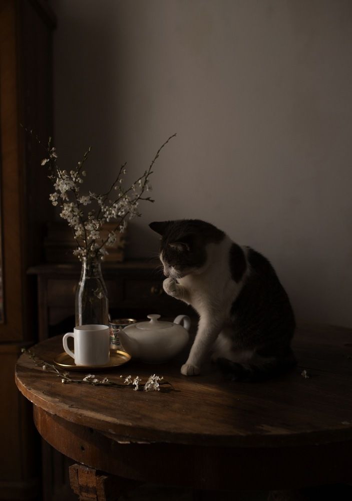 Photograph by Iryna Matvieienko