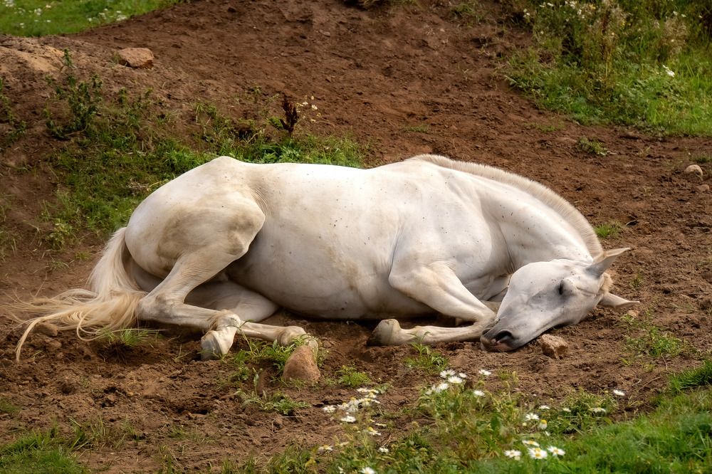Photograph by Марина Виноградова