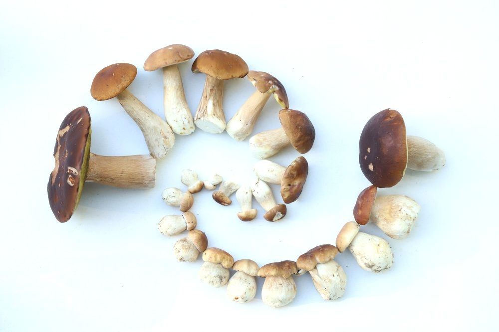 Photograph by Елена Тимченко