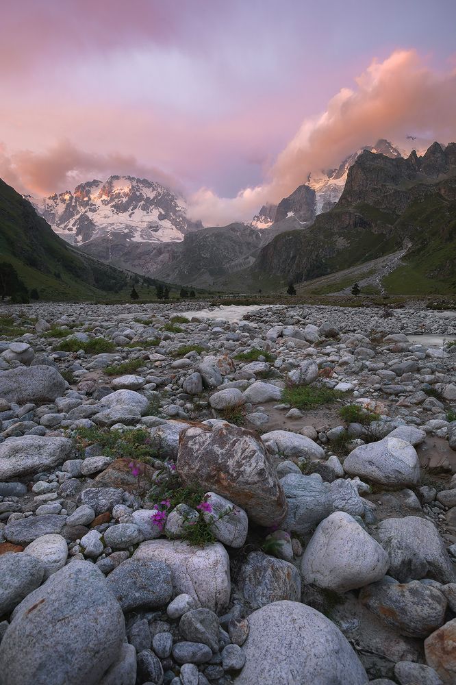 Photograph by Романова Екатерина