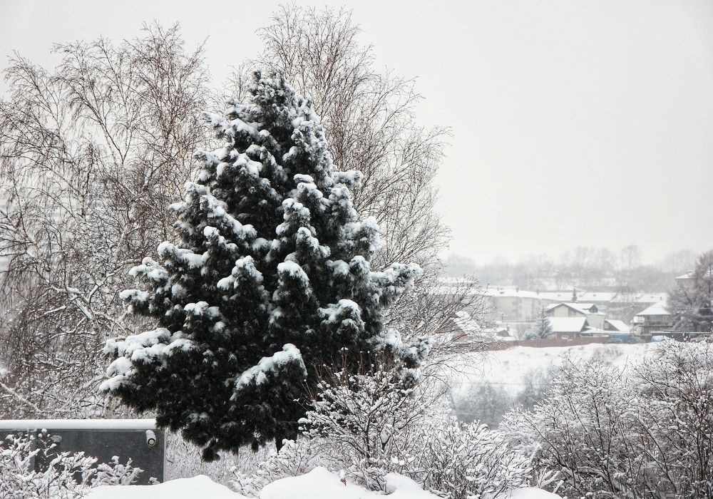 Photograph by Владимир Сушкин