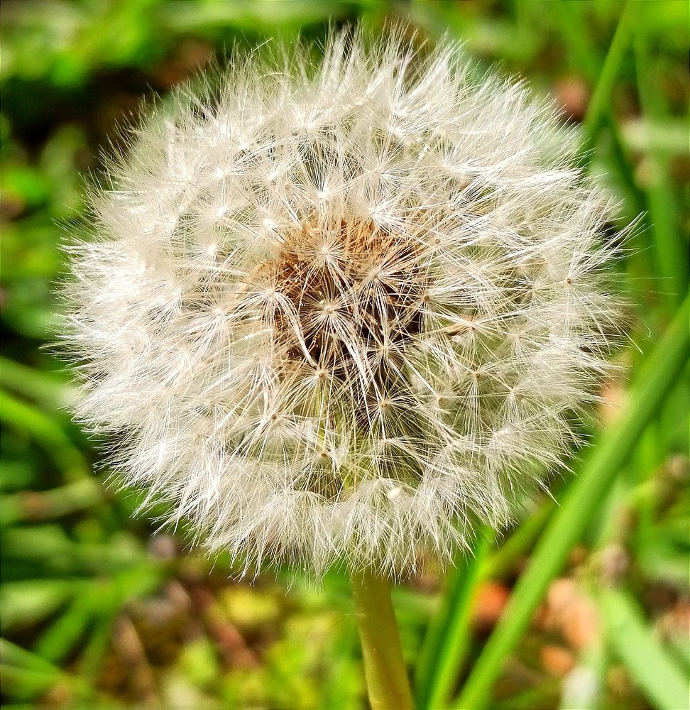 Photograph by Ольга Тихонова