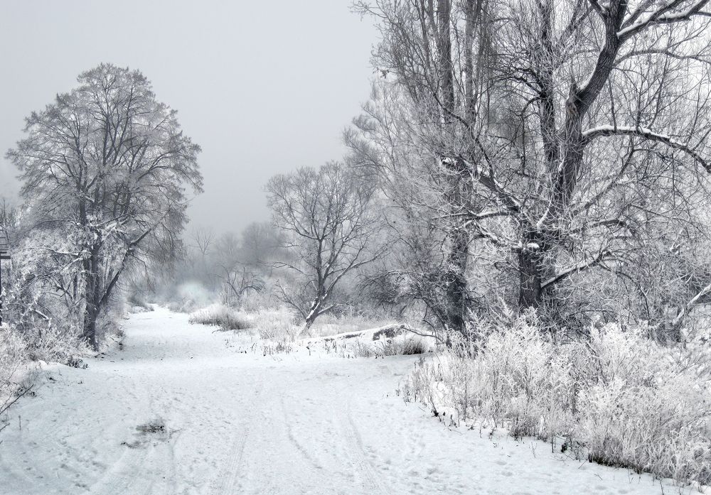 Фотография автора Milena Ivanova