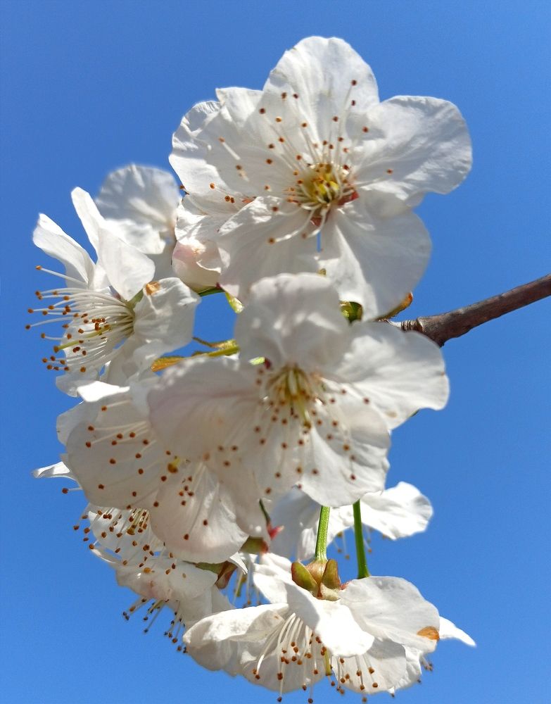 Photograph by Ольга Тихонова