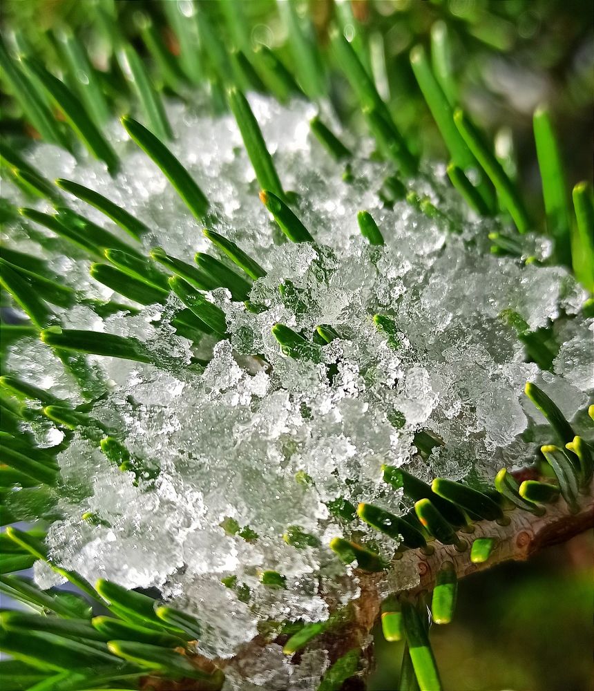 Photograph by Ольга Тихонова