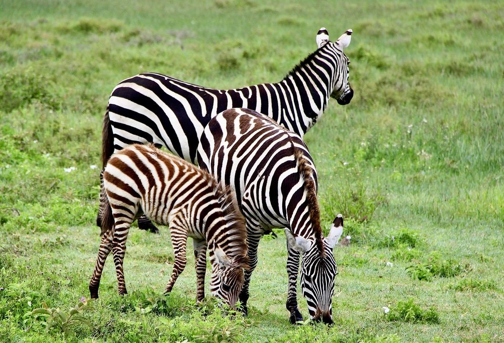 Photograph by Олег Банковский