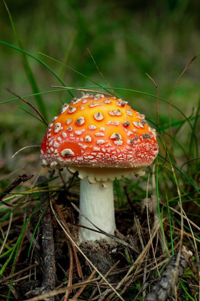 Photograph by Сергей Пупков