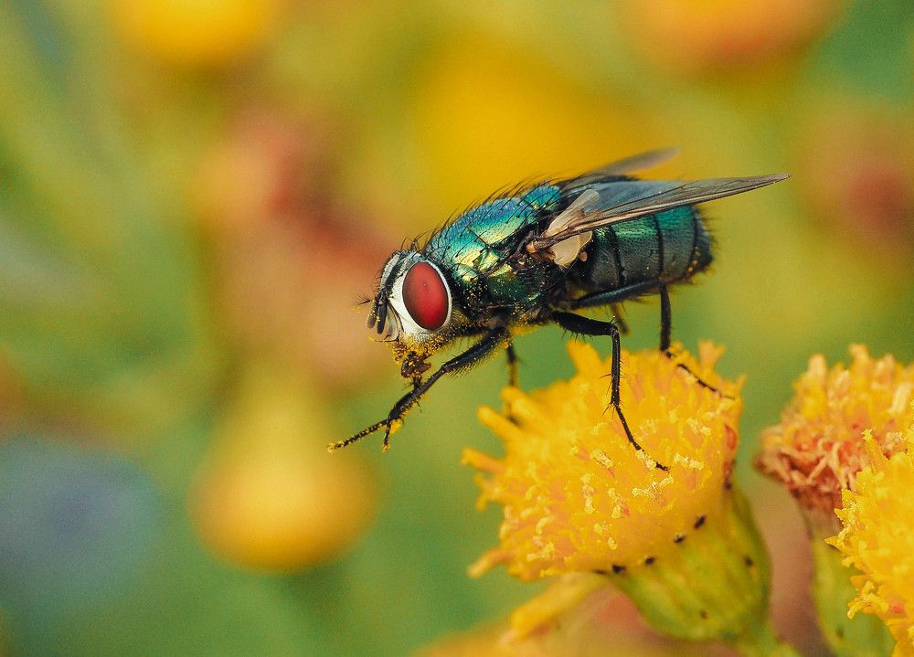 Photograph by Ирина Протченко