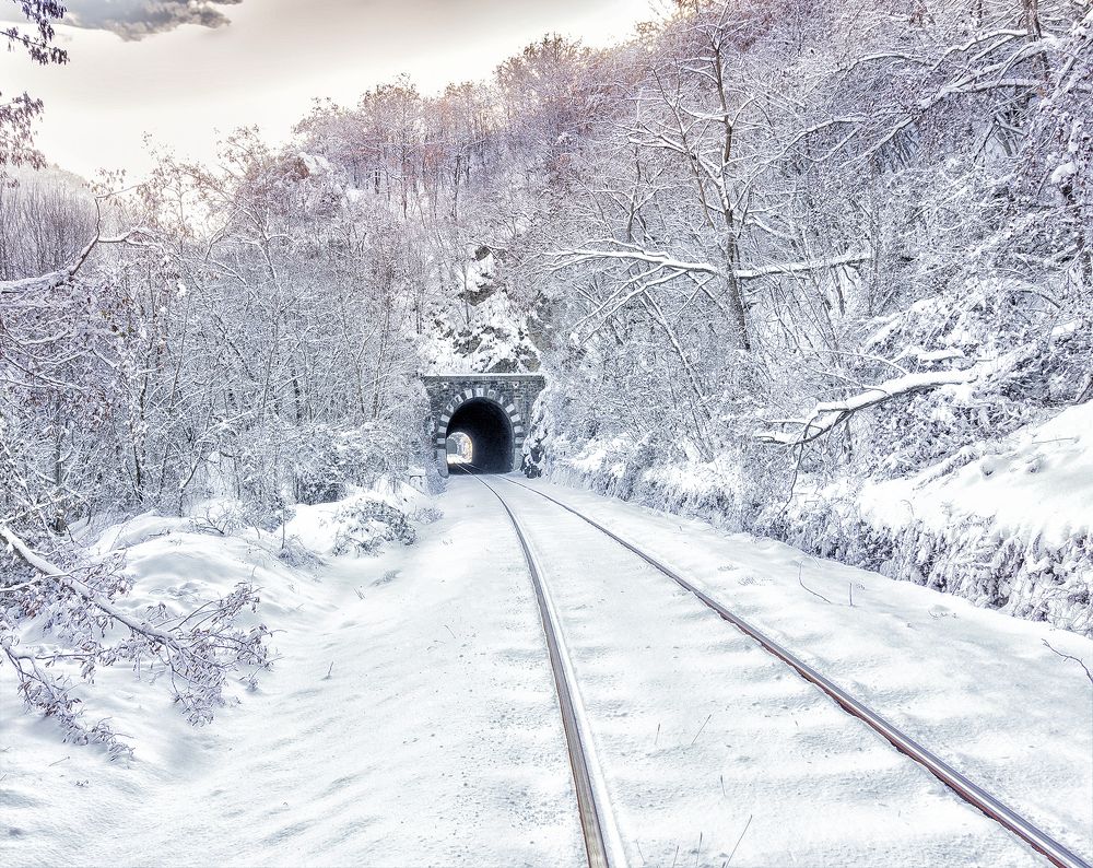 Фотография автора Milena Ivanova