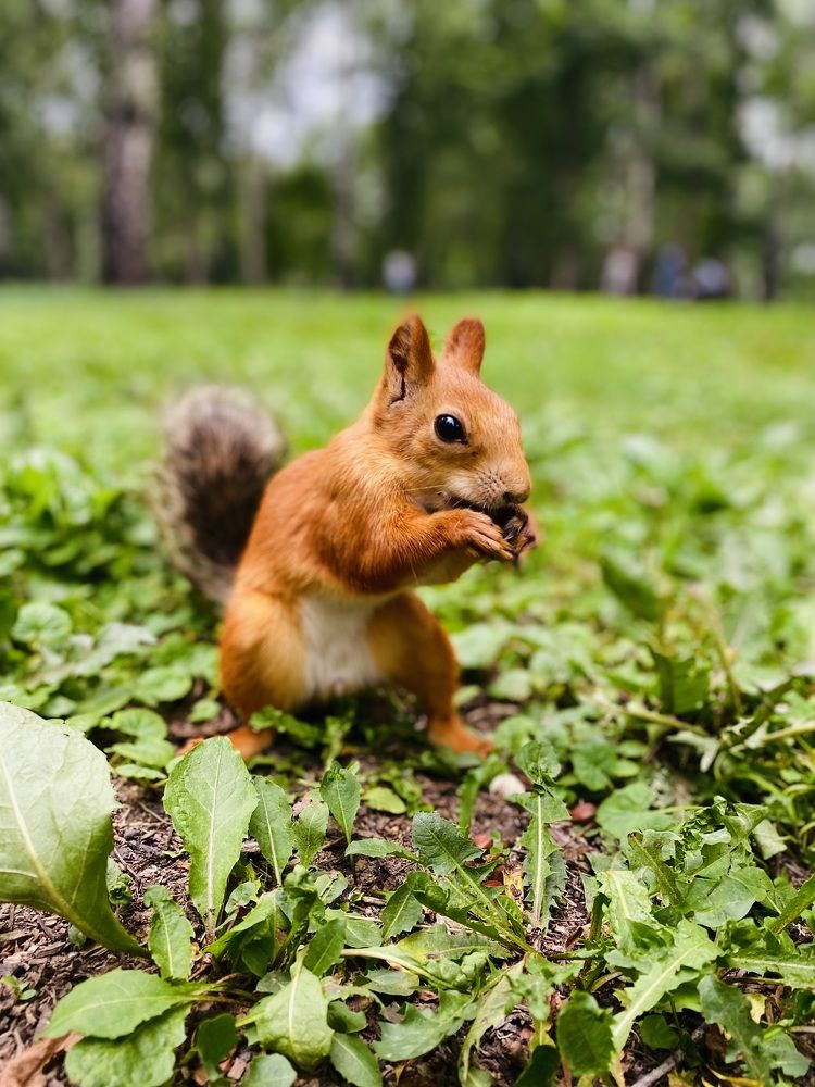 Photograph by Юлия Пыльцева