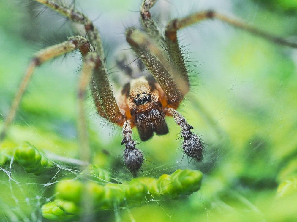 Photograph by Ирина Протченко