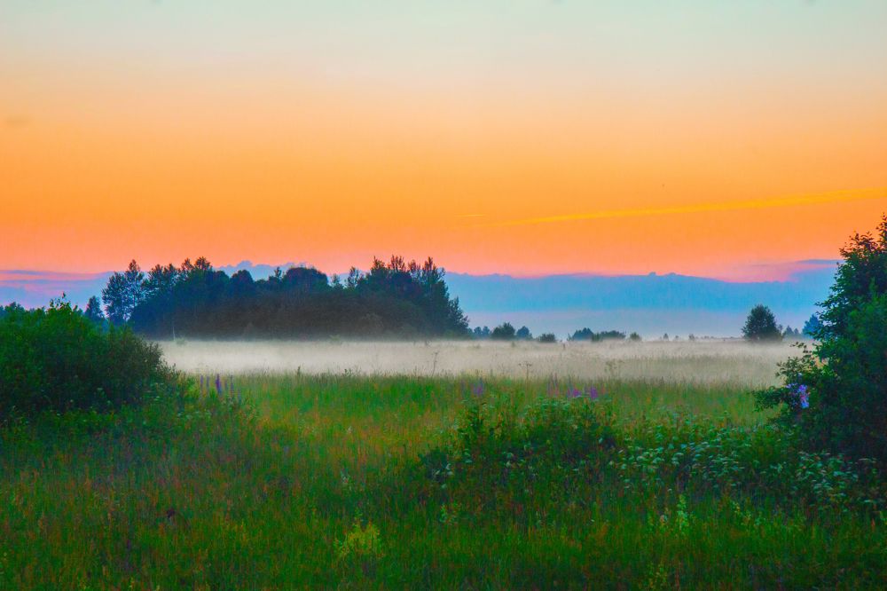 Photograph by Татьяна Семенова