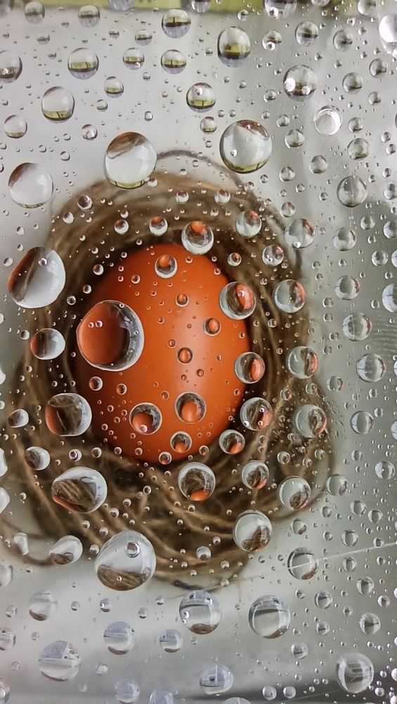 Photograph by Татьяна Долгушева